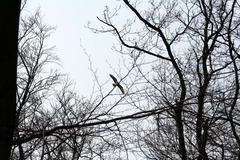 Killikus&reg; Fotographie